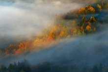 Touch of the Morning Sun