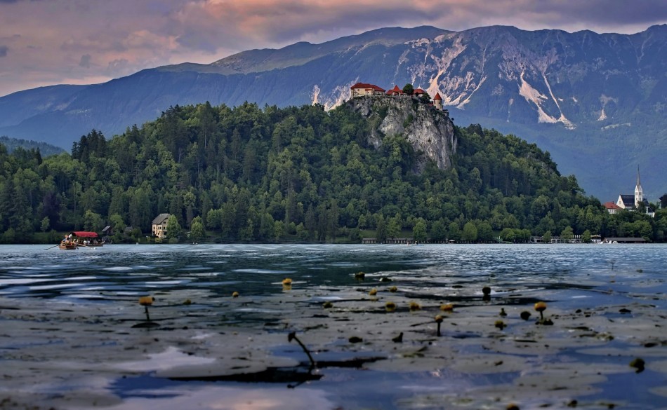 Zamek na wzgórzu nad jeziorem Bled. . Zdjęcie 340609