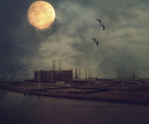 Virtual City XXXVI