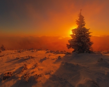 First Light IV...