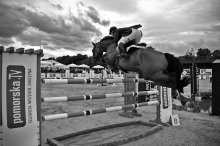 CSIO I