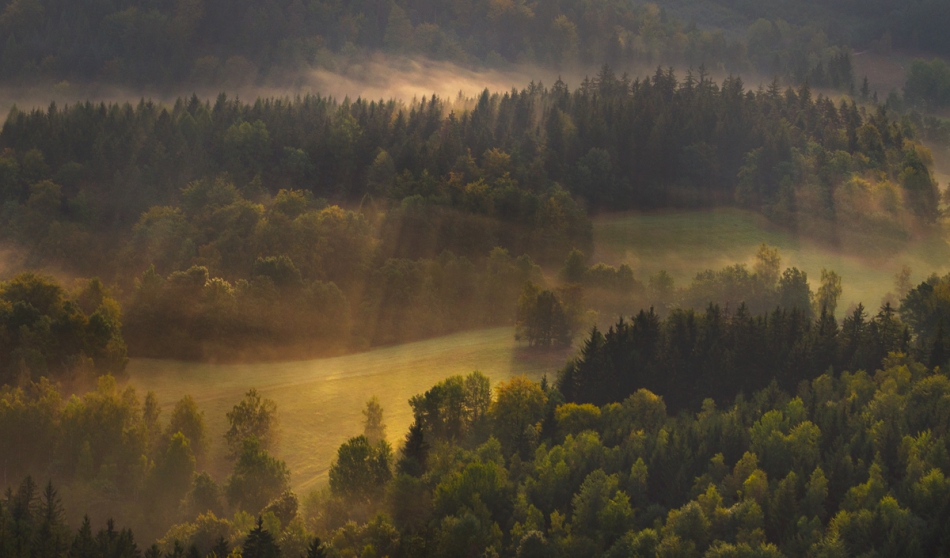 master95 - ***. Pełny Ekran wskazany :). Zdjęcie 189688