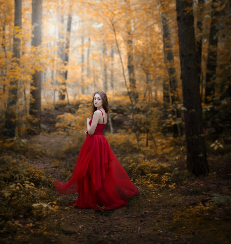 WiolaB - Forest melodies. . Zdjęcie 335855