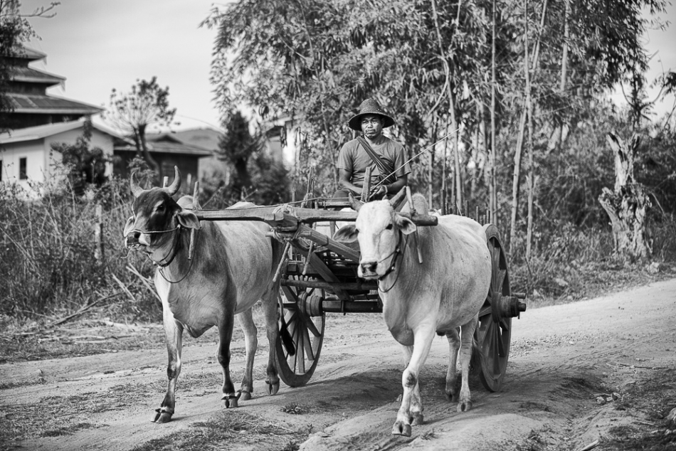 wlamparski - swoim tempem. . Zdjęcie 172053