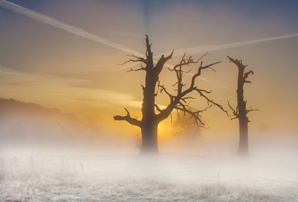 Brak tytułu. Zapraszam na PE. Zdjęcie 337508