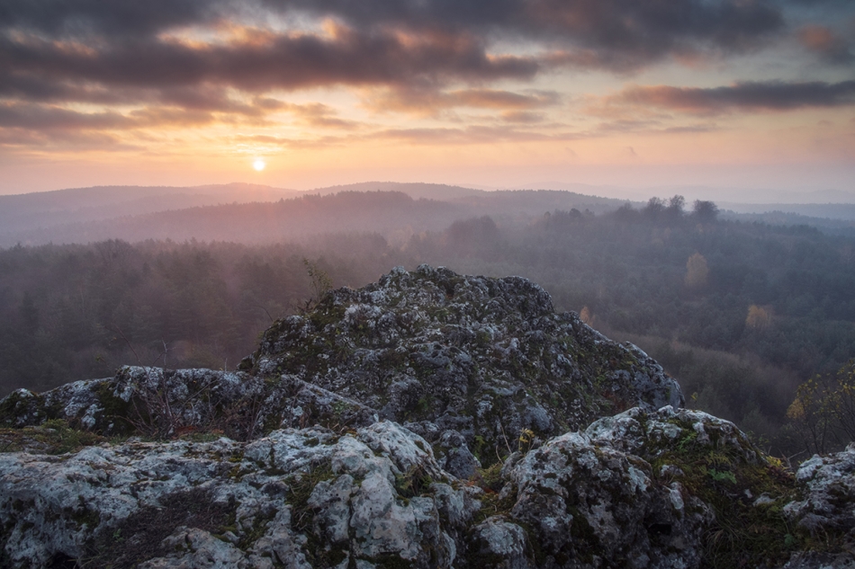 mikelspontan - Szary listopad. . Zdjęcie 328523