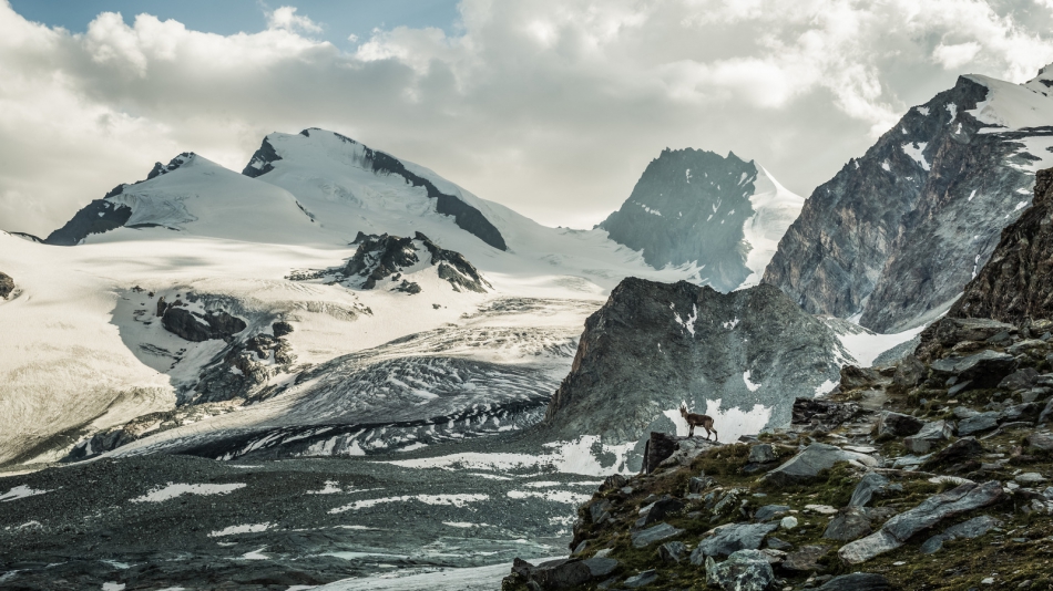 pak76 - . . Zdjęcie 304993