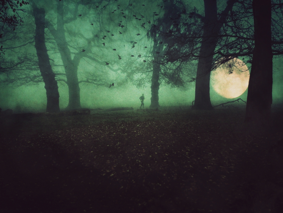 MoonRun. . Zdjęcie 315467