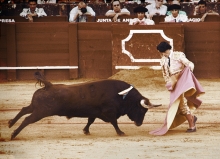 Corrida IV