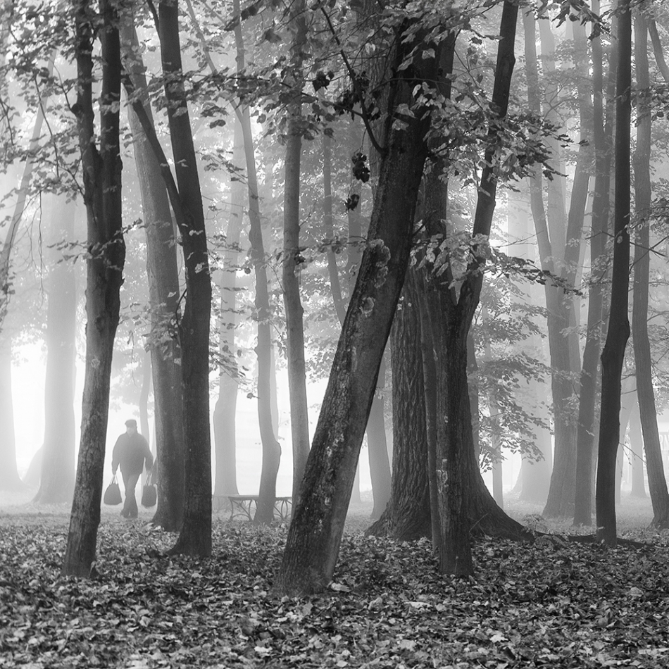 akrims - *. . Zdjęcie 335344