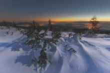 Enchanted Wintertime Ni...