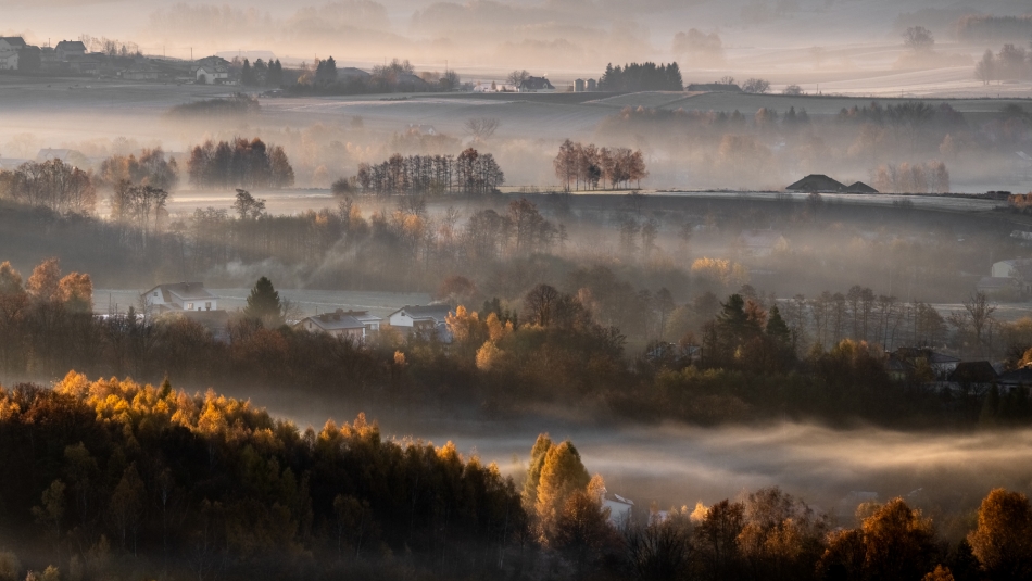 Beskid Niski. . Zdjęcie 336974