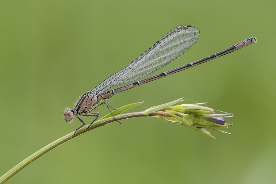mariusz - . . Zdjęcie 143451