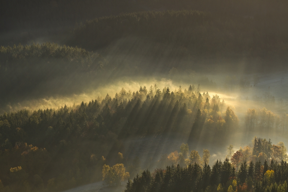 Mehr Licht. . Zdjęcie 106720