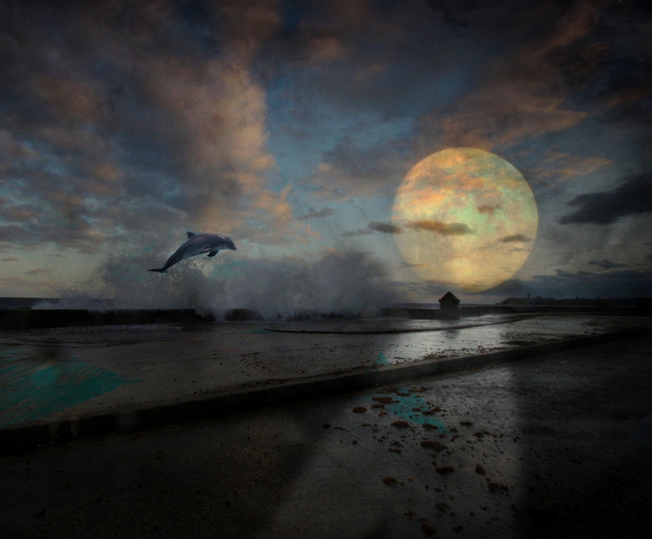 Dream On.... . Zdjęcie 305699