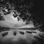 Where the Lake Holds Fi...