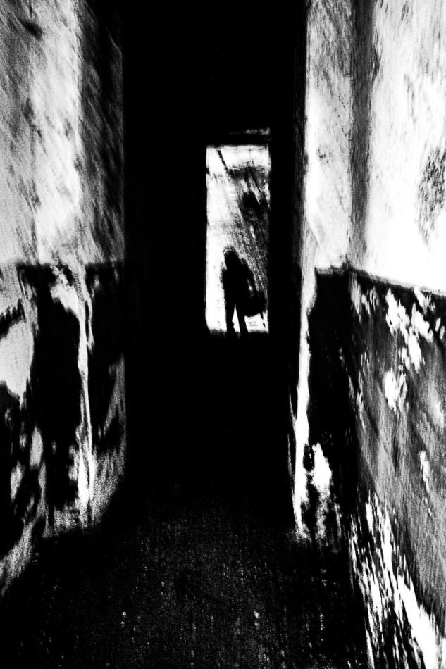 -. -. Zdjęcie 338986