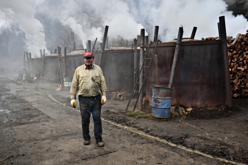 dymne życie. Bieszczady. Zdjęcie 338209
