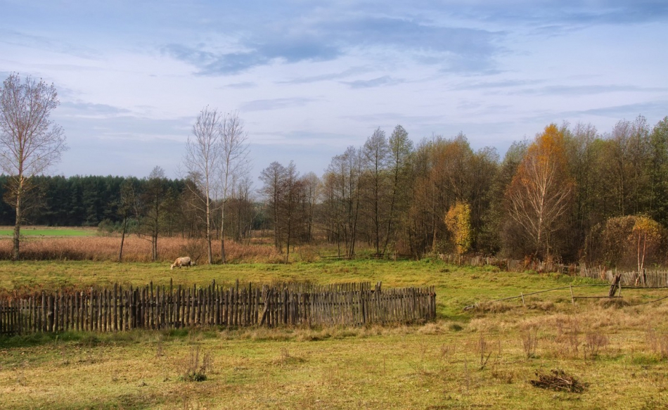 fotokomar - Pejzaż jesienny. . Zdjęcie 283805