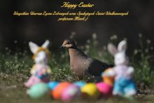 Happy Easter