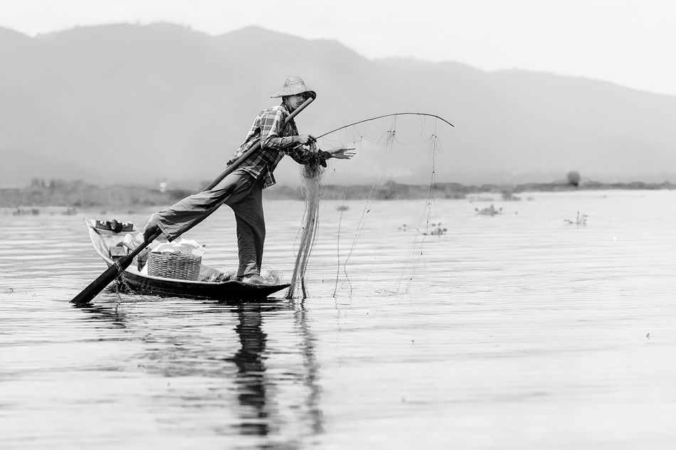 fotoel - . . Zdjęcie 134330