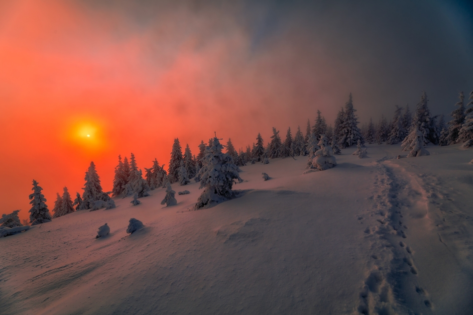bonnieandclyde - Winter.... . Zdjęcie 326090