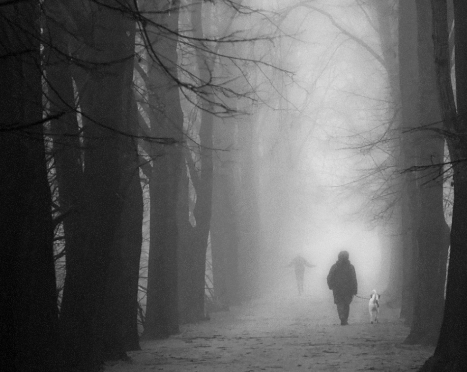 .. . Zdjęcie 133725