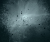 My Dark Galaxy