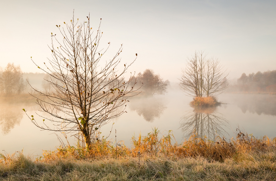 walz - ***. Zalecam PE+F11 :). Zdjęcie 235959