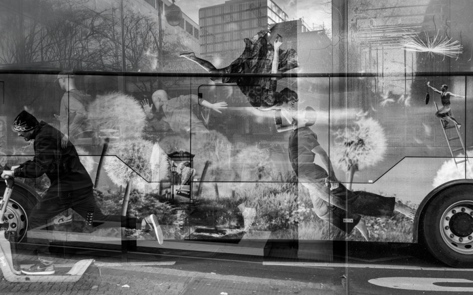 Wieloświaty uczuć. . Zdjęcie 337686