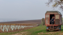 Zostań w domu