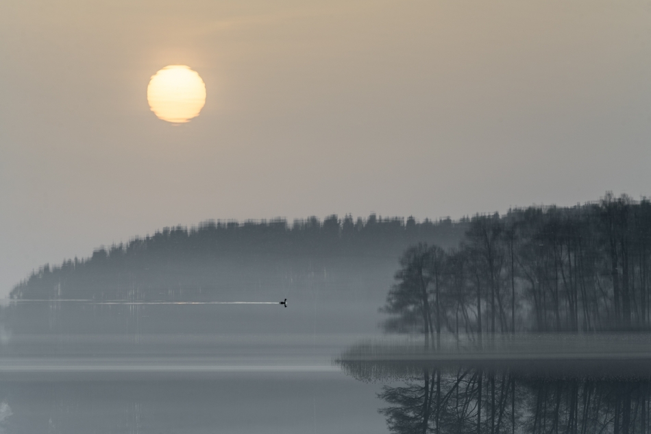 jerzy_safijanski - wiosna ?. . Zdjęcie 324029