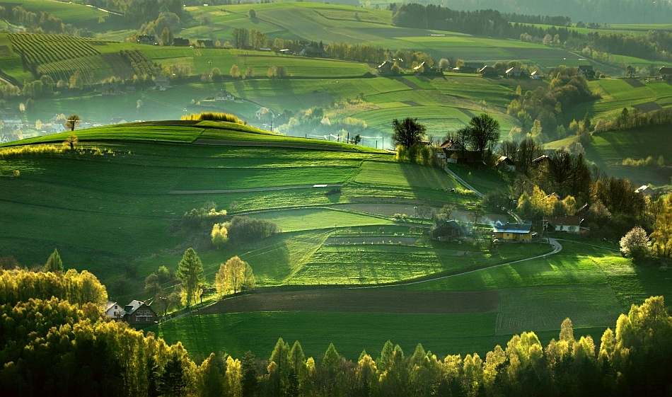 jawa07 - green fields.... ...2012. Zdjęcie 57971