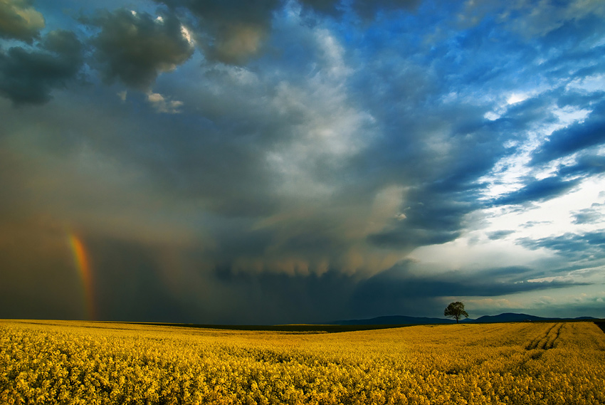 dzafoto - *. . Zdjęcie 131614