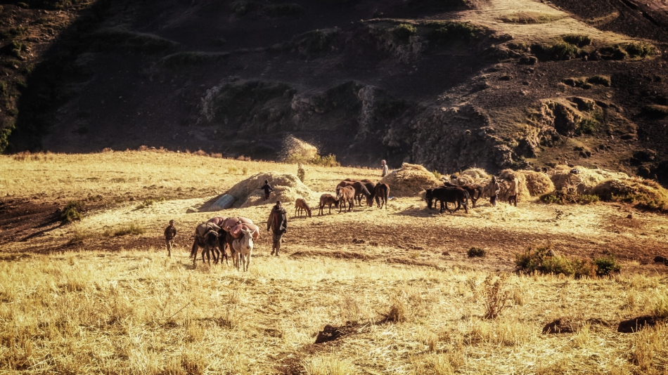 pak76 - . . Zdjęcie 314242