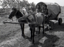 In the wagon