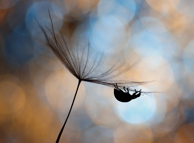 bluejeans - Nocne wedrówki. . Zdjęcie 86875