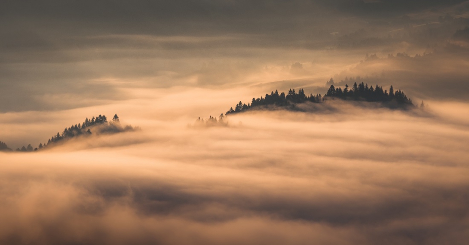piotrekcoleman - Złote Pieniny. . . Zdjęcie 146273