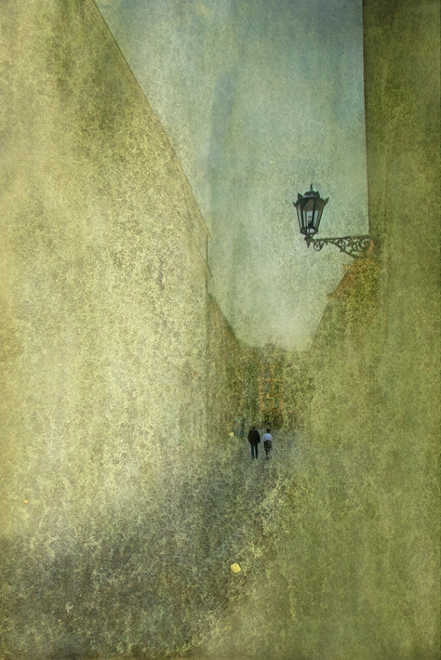 janish - . . Zdjęcie 293619