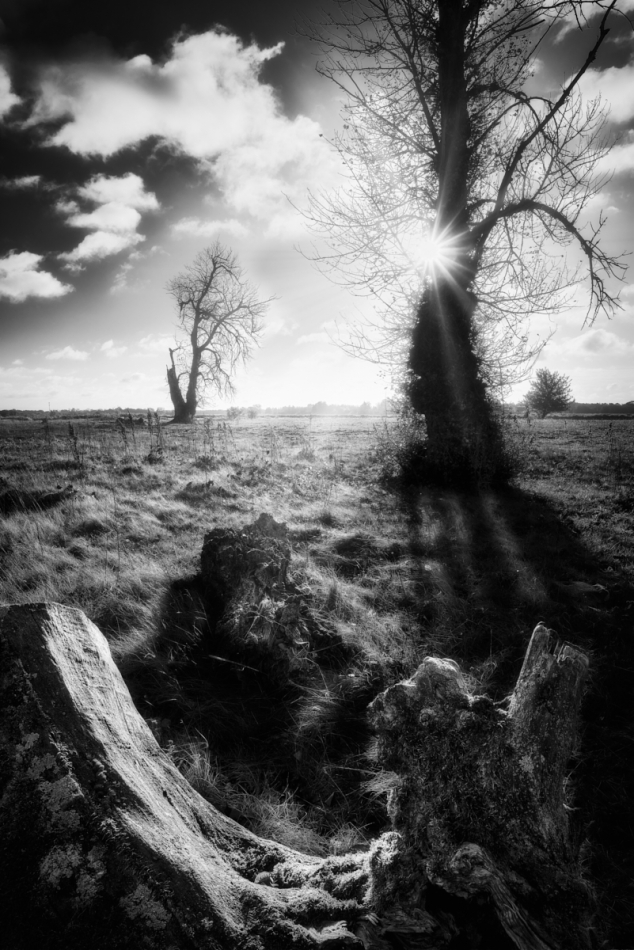 shooter76 - . . Zdjęcie 320080