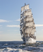 The Tall Ships Races 2024