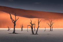 Dead Vlei
