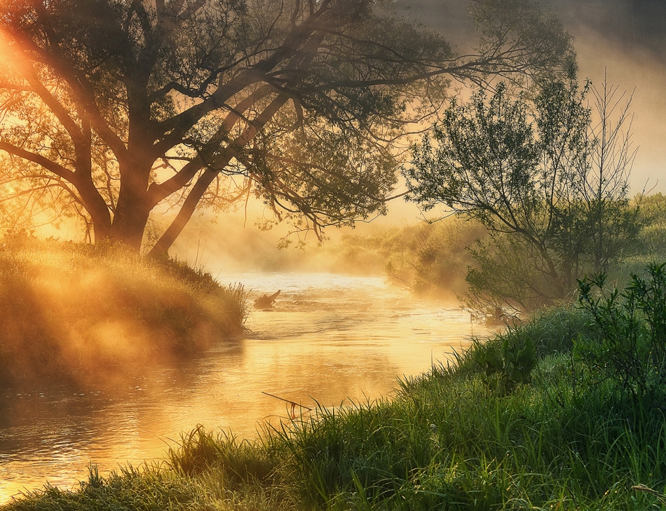 sergnester - Golden morning. Spring morning fog in the river valley. Zdjęcie 329992