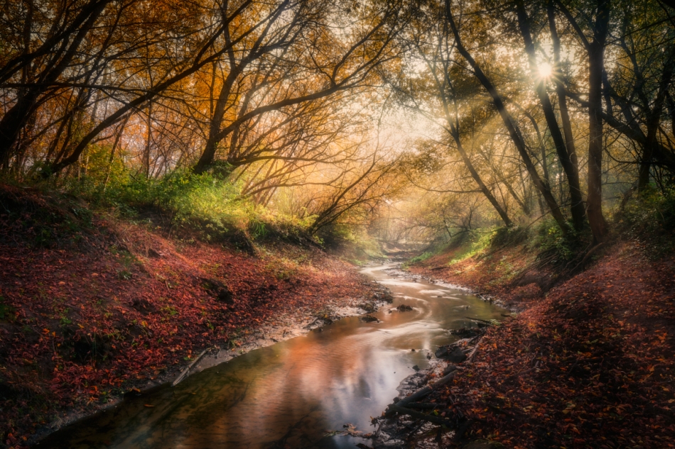 shooter76 - . . Zdjęcie 320076