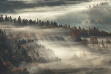 The Scent of Autumn