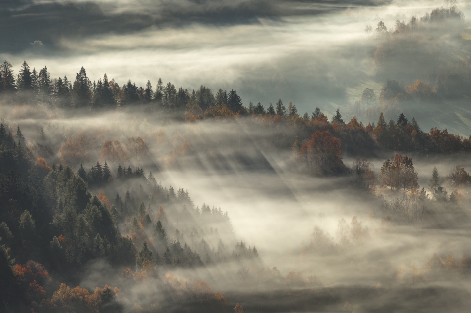 bonnieandclyde - The Scent of Autumn. . Zdjęcie 281435