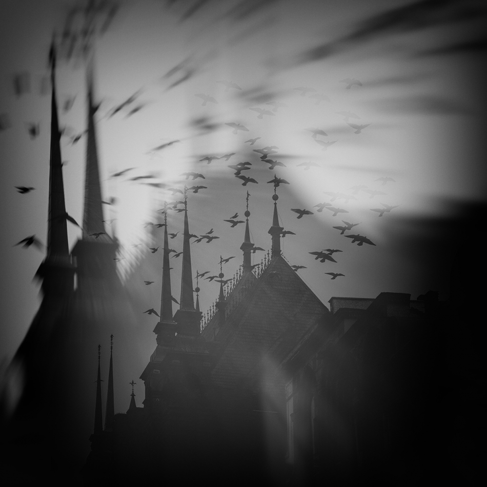akrims - . . Zdjęcie 333098