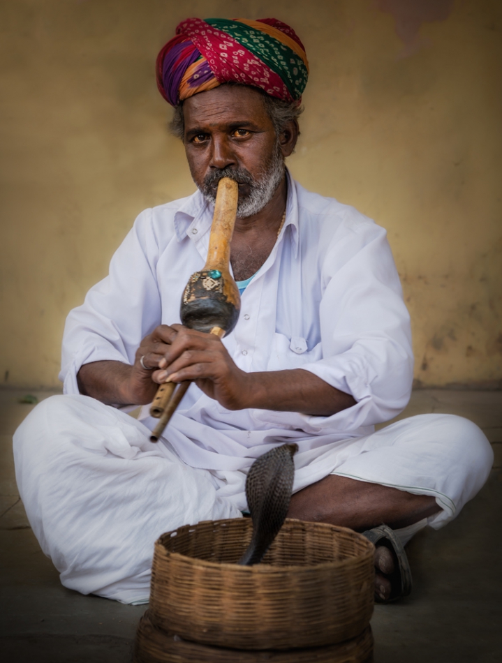 fotoel - . . Zdjęcie 232874