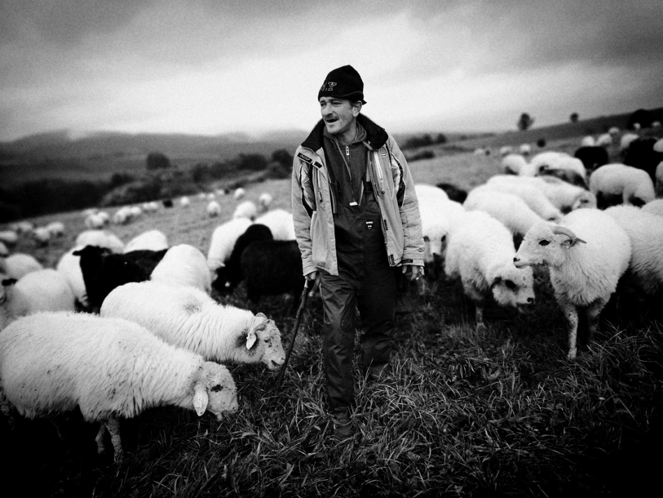 yamayka - Pasterz. . Zdjęcie 317656