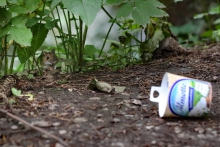 Kusząca propozycja... I...